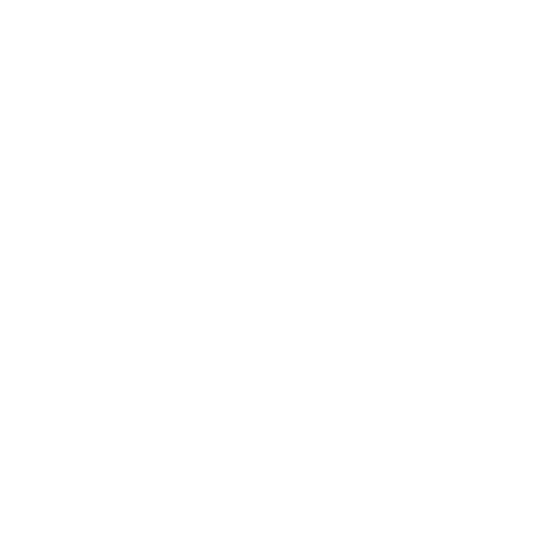Lemon Xperience Logo